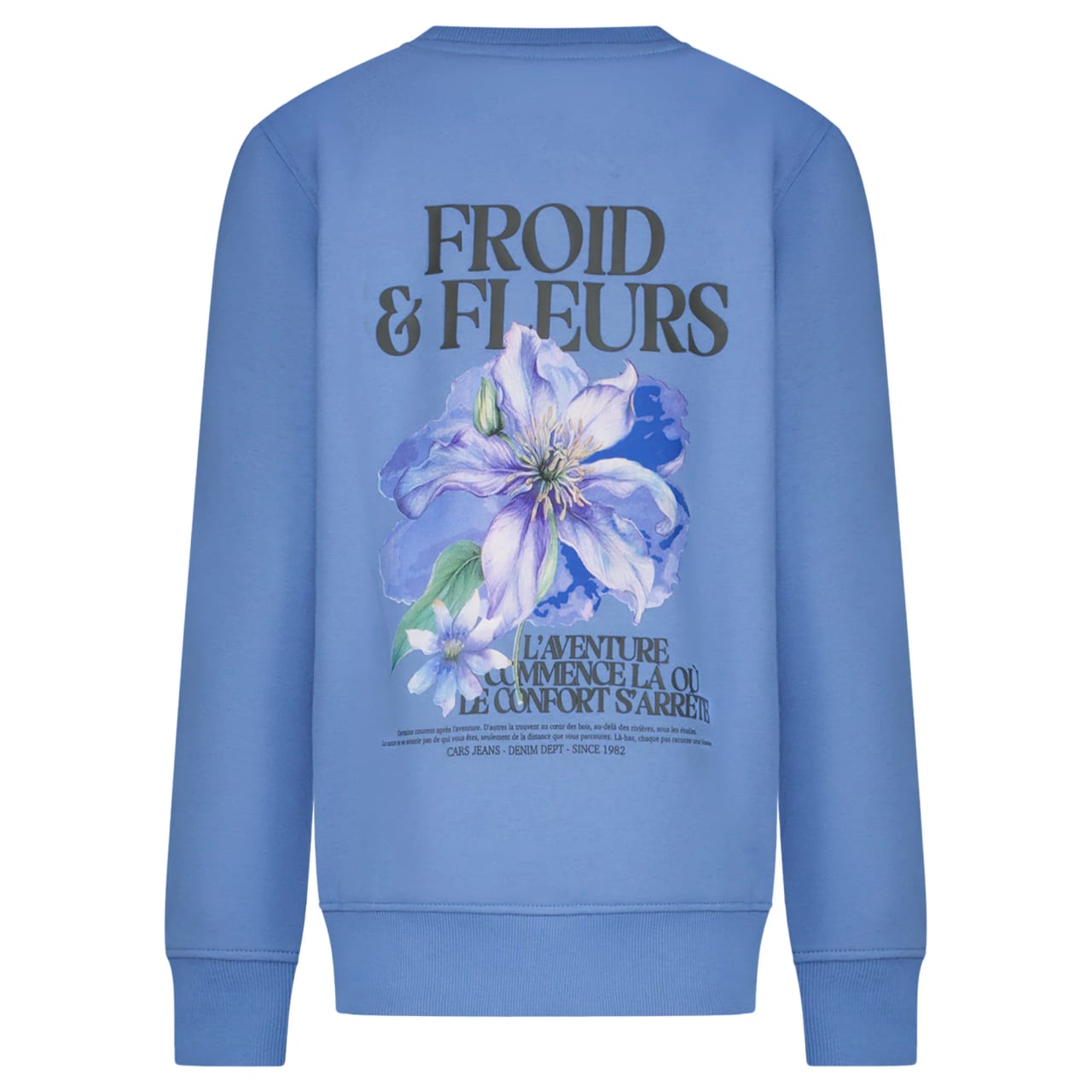 Cars Froy Sw Backprint Grey Blue - foto 2