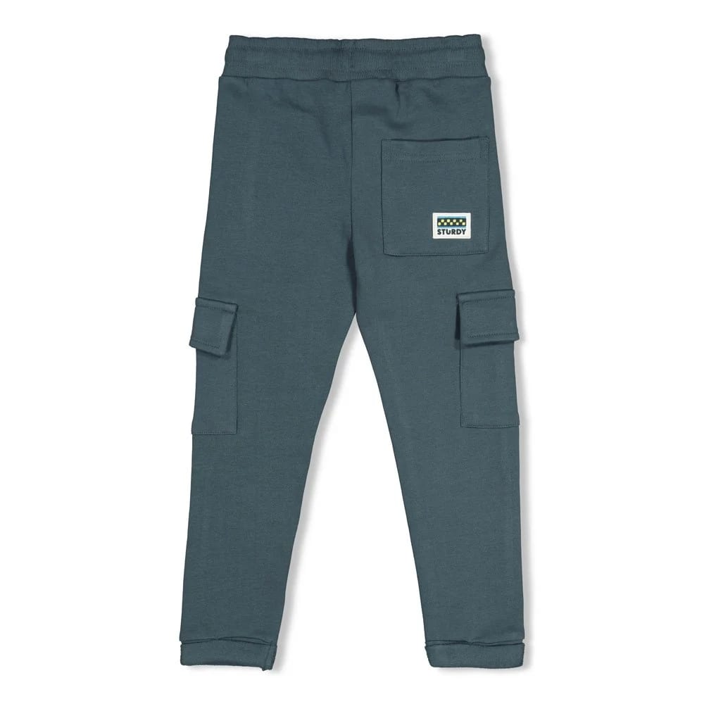 Sturdy Cargo Broek - Fix It - foto 2