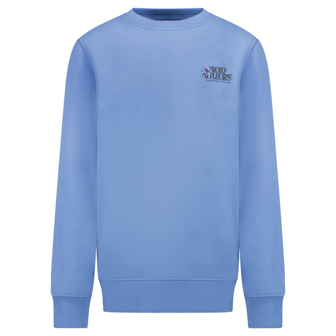 Cars Froy Sw Backprint Grey Blue