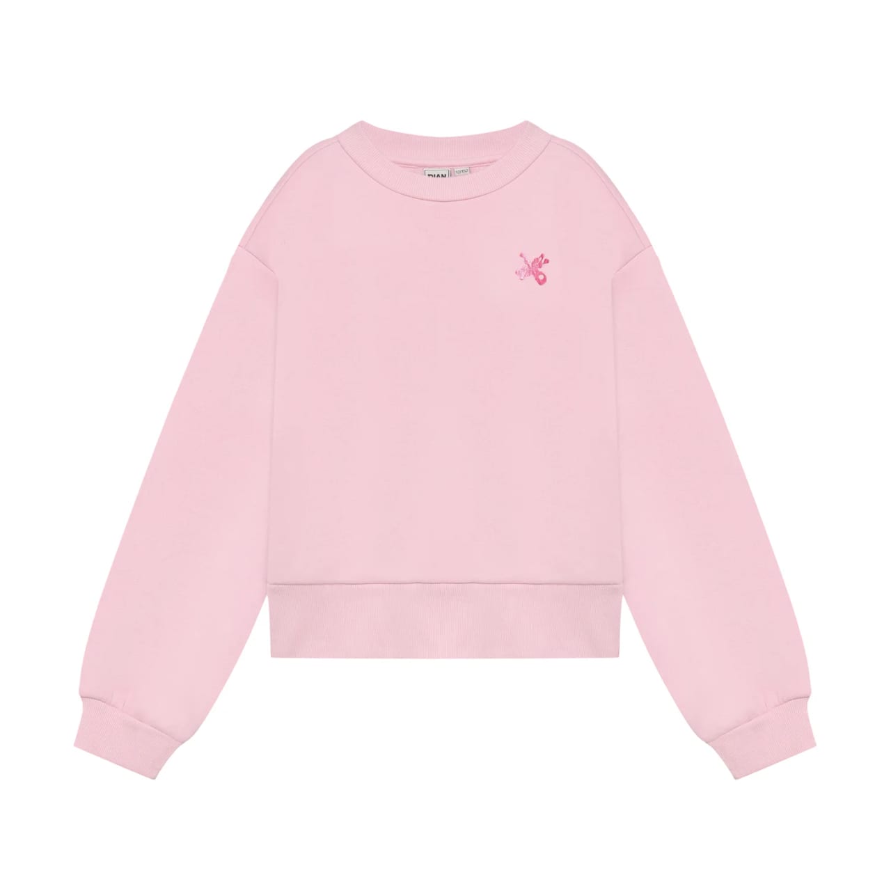 Indian Blue Sweater Indn
