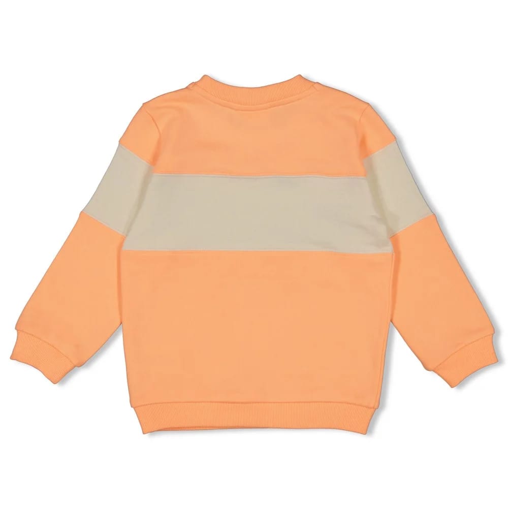 Sturdy Sweater - Lagoon Legends