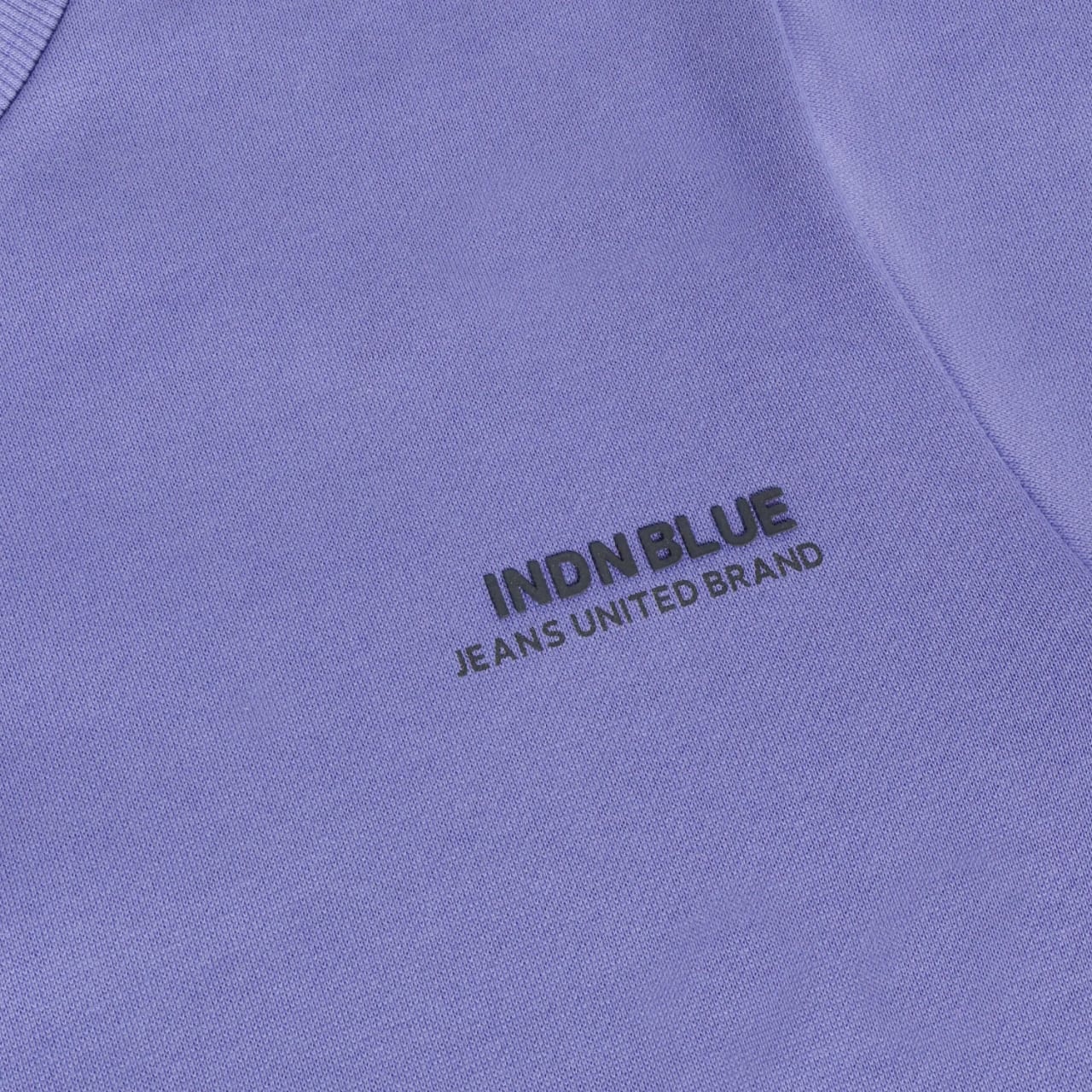 Indian Blue Sweater Indian Chestprint
