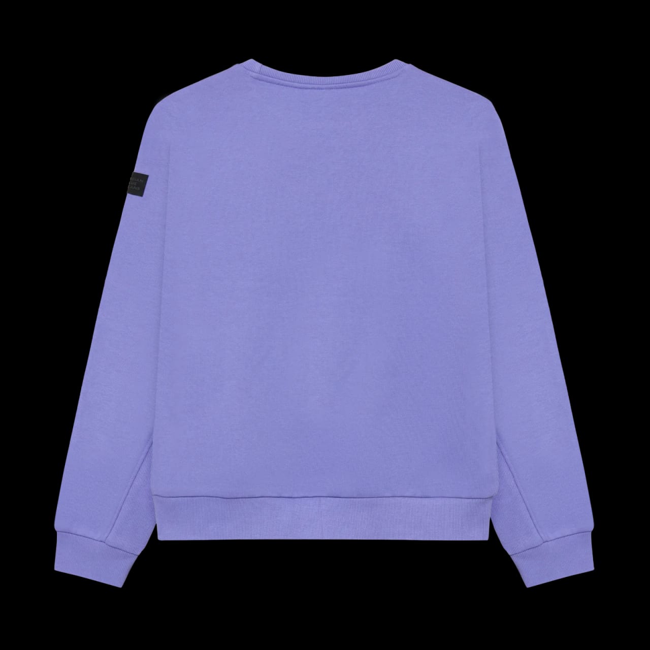 Indian Blue Sweater Indian Chestprint