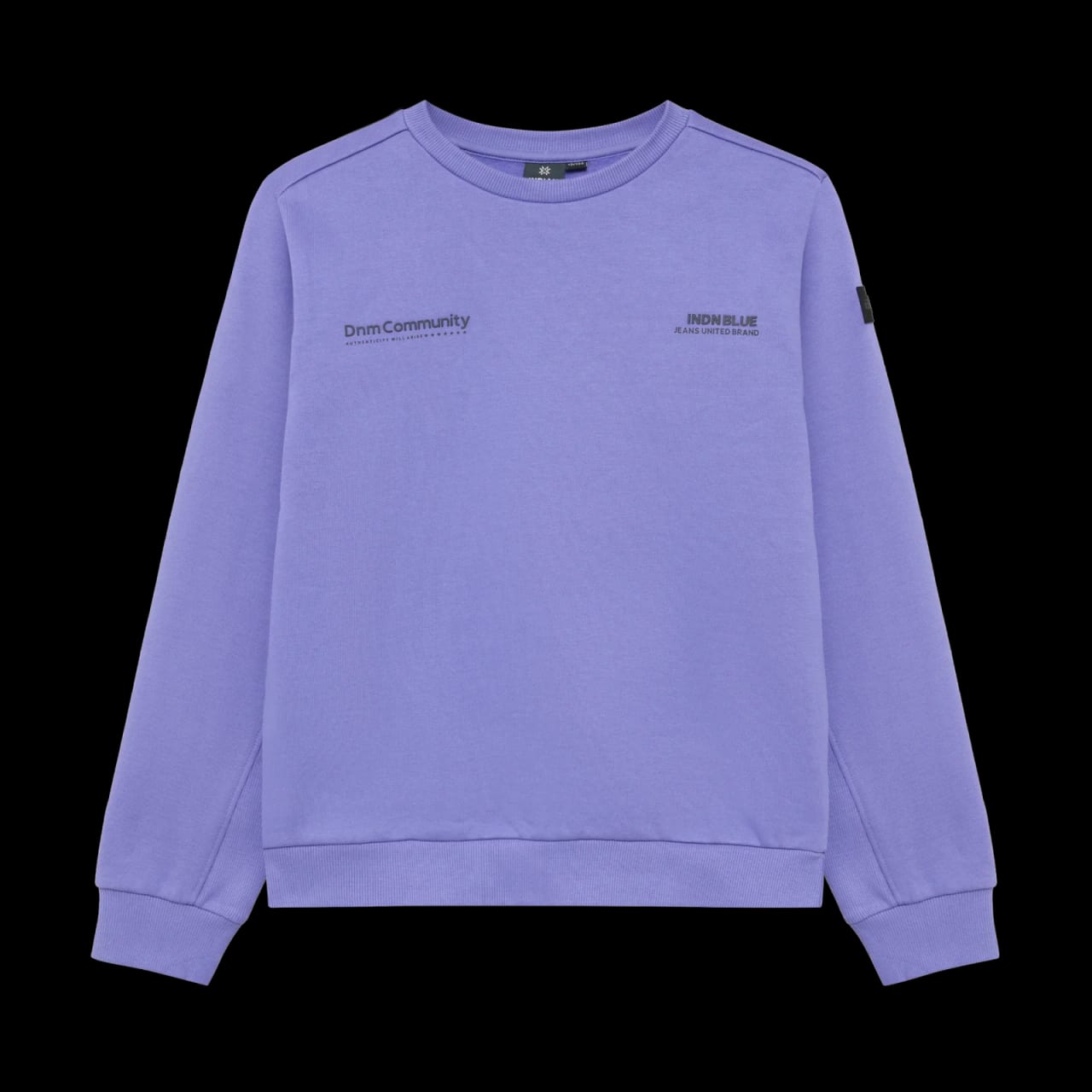 Indian Blue Sweater Indian Chestprint