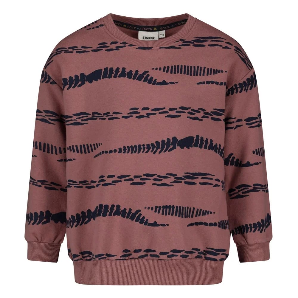 Sturdy Sweater Aop Relaxed Fit - Rock The Earth