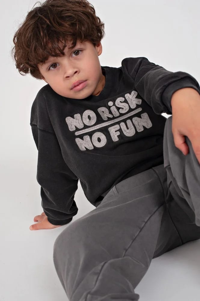 Sturdy Sweater Relaxed Fit - Mountain Top - foto 3