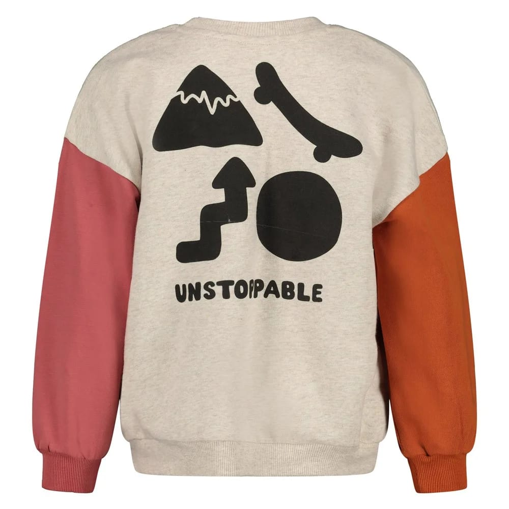 Sturdy Sweater Met Backprint Oversized - Mountain Top - foto 2