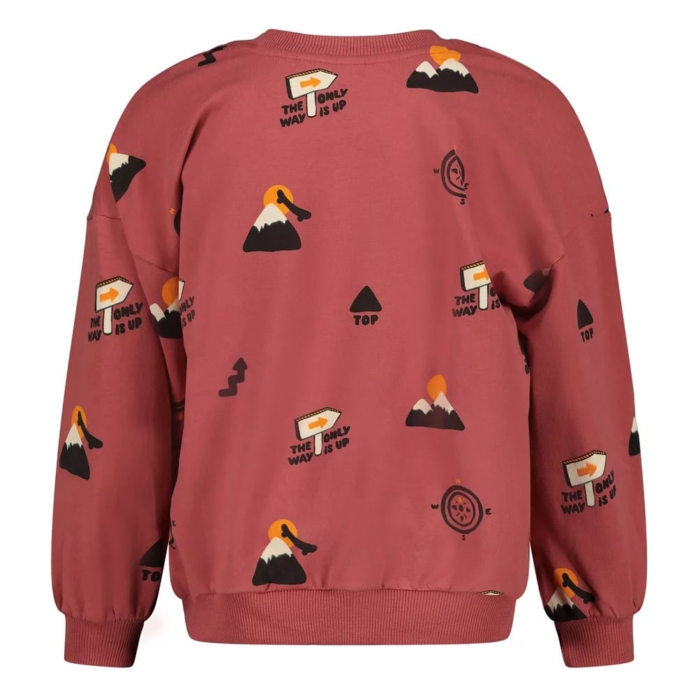 Sturdy Sweater Aop Oversized - Mountain Top - foto 2
