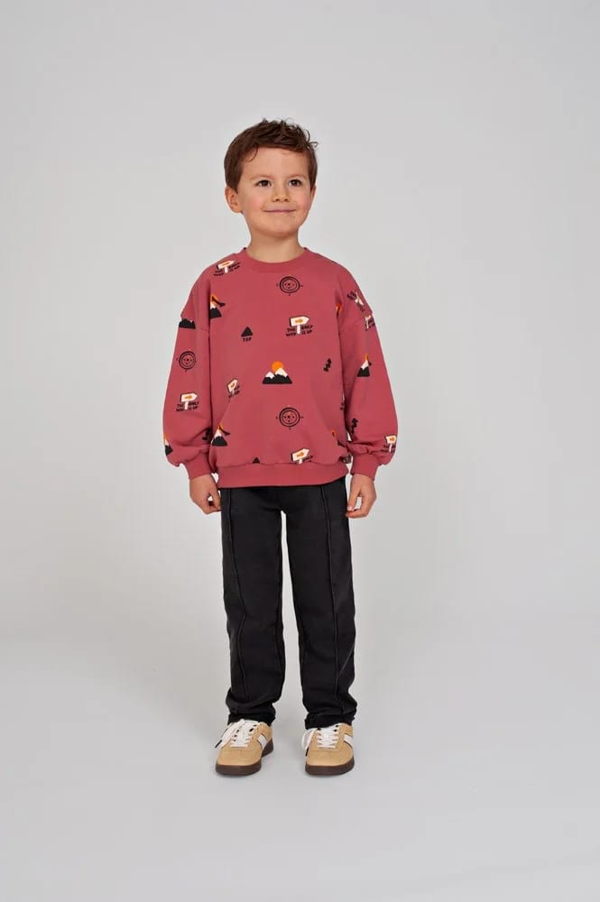 Sturdy Sweater Aop Oversized - Mountain Top - foto 6