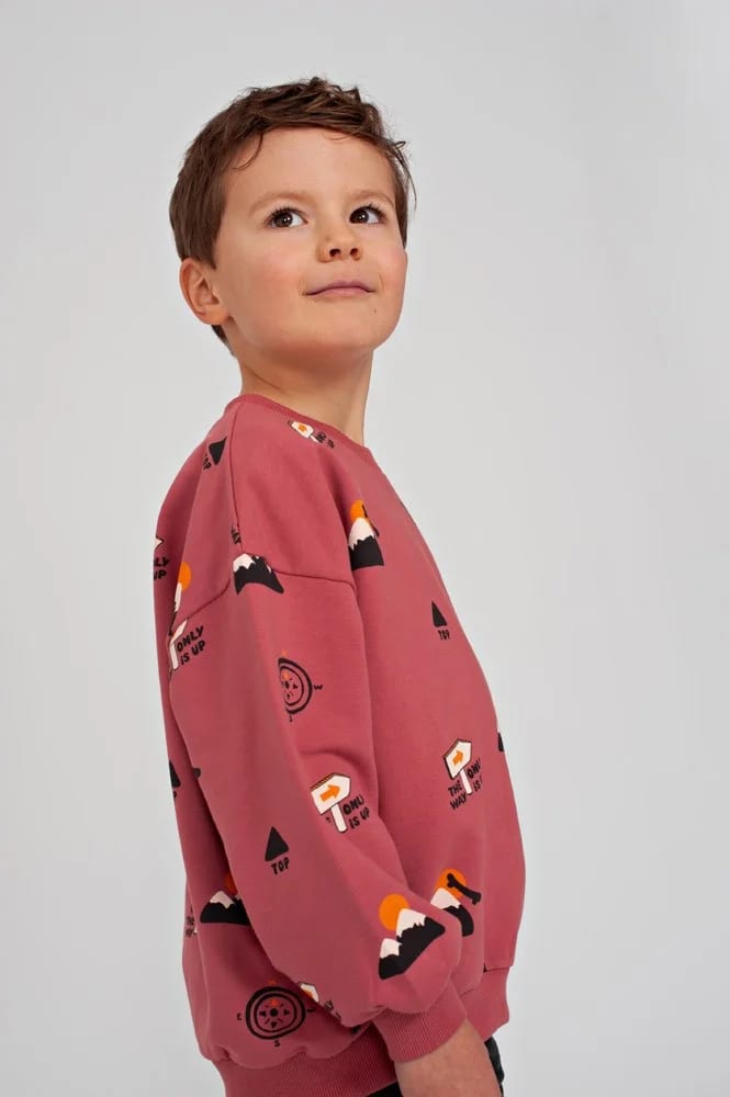 Sturdy Sweater Aop Oversized - Mountain Top - foto 4