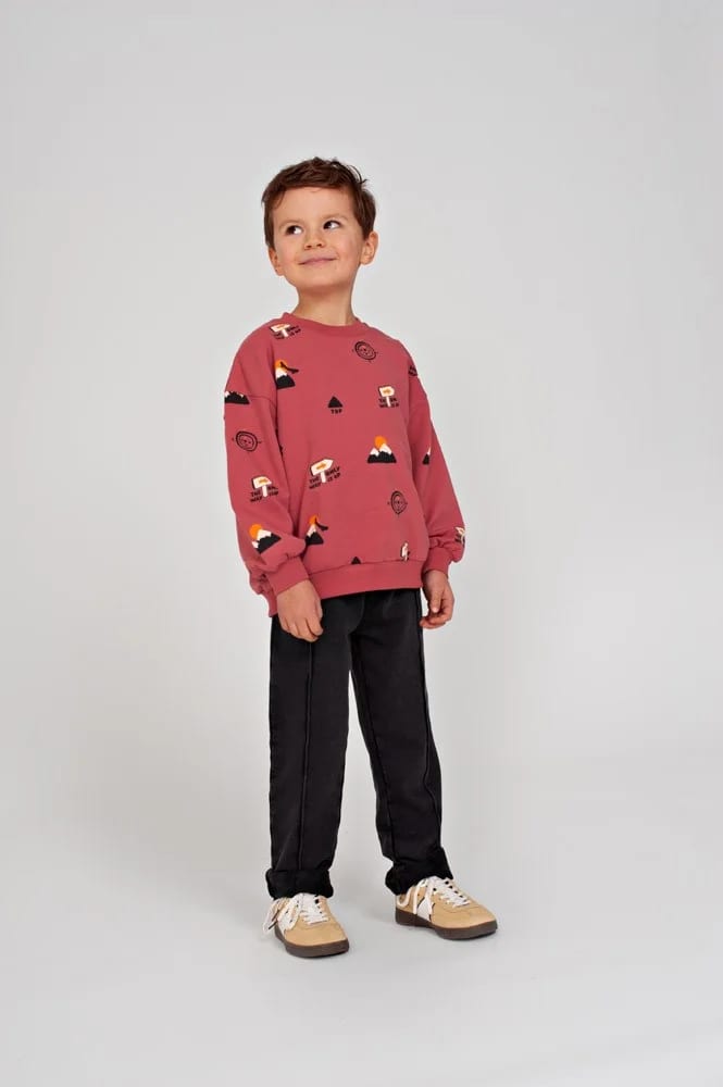 Sturdy Sweater Aop Oversized - Mountain Top - foto 5