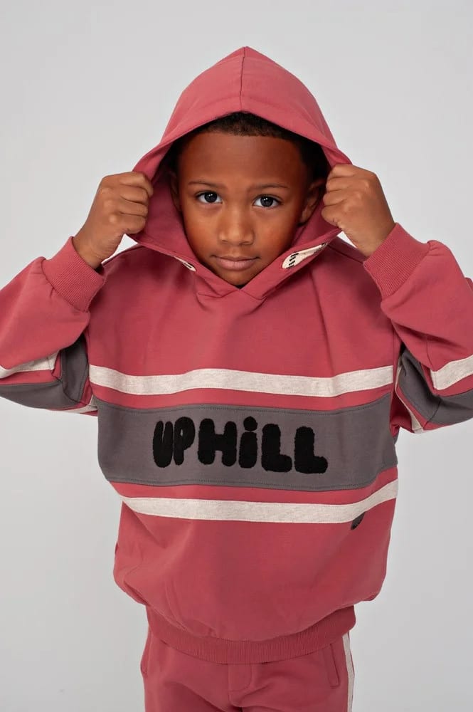 Sturdy Hoody Oversized - Mountain Top - foto 4