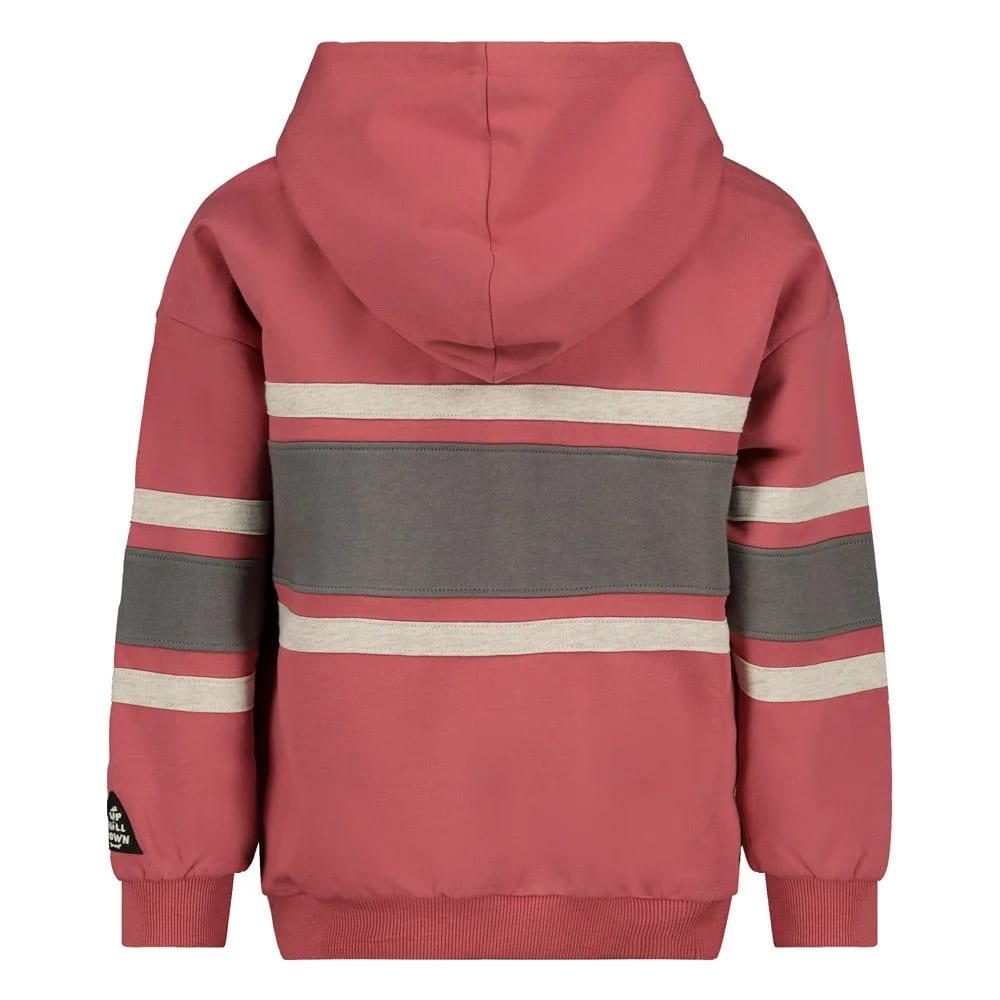 Sturdy Hoody Oversized - Mountain Top - foto 2